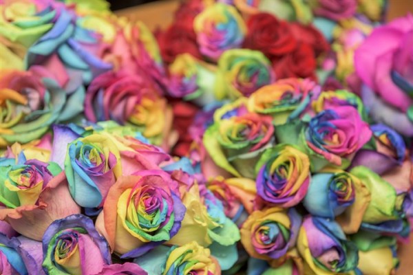 tie dyed roses