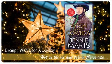 wish upon a cowboy excerpt
