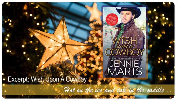 wish upon a cowboy excerpt